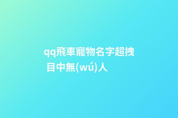 qq飛車寵物名字超拽 目中無(wú)人
